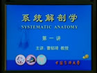 系统解剖学视频教程 50讲 中国医科大学